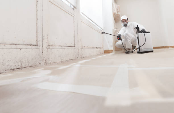 24/7 Emergency Mold Remediation experts in Waterford, VA