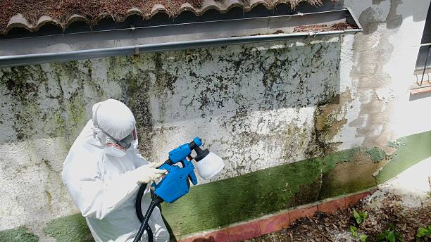 Top rated local Mold Remediation specialists in Waterford, VA